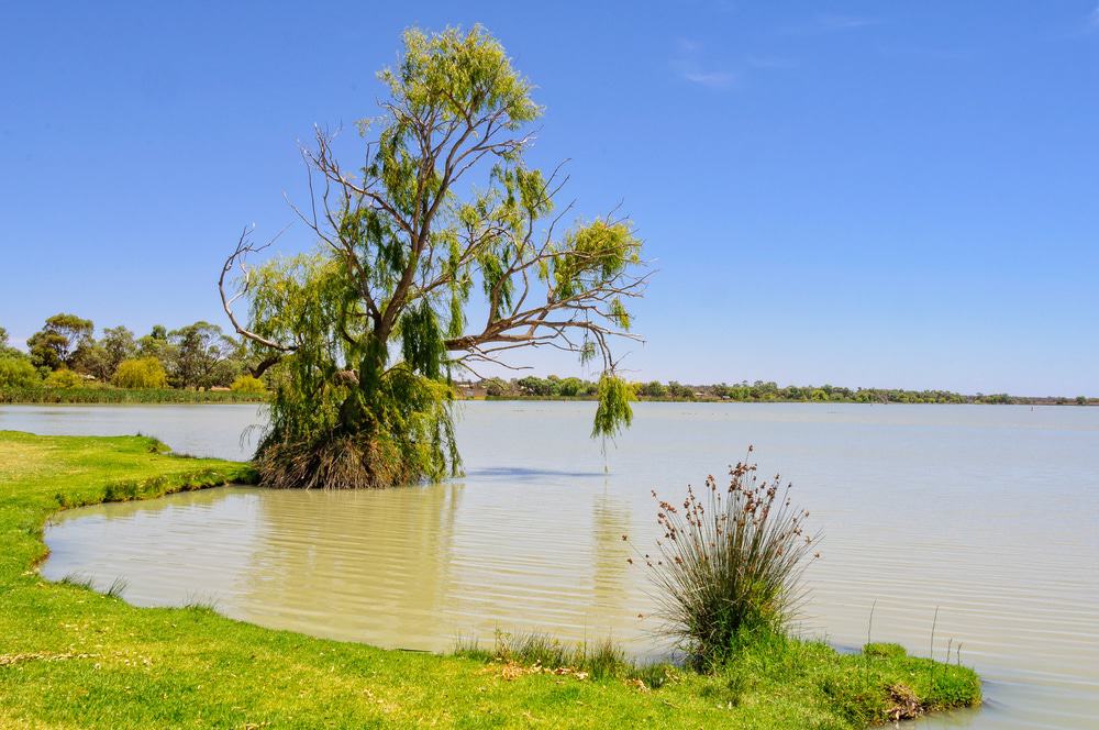 Lake Cullulleraine