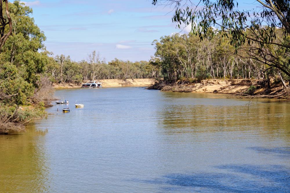 Barmah National Park