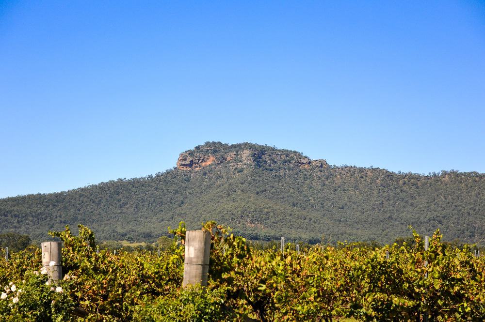 View To Werakata National Park From The Hunter Valley Vineyards