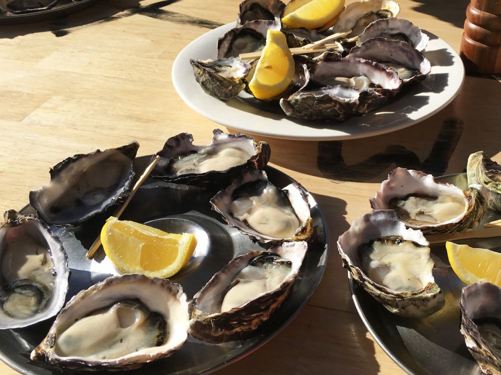 Oyster Tasting