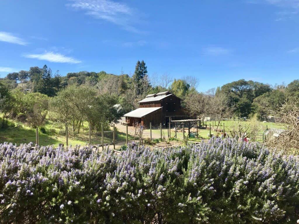 Connolly Ranch