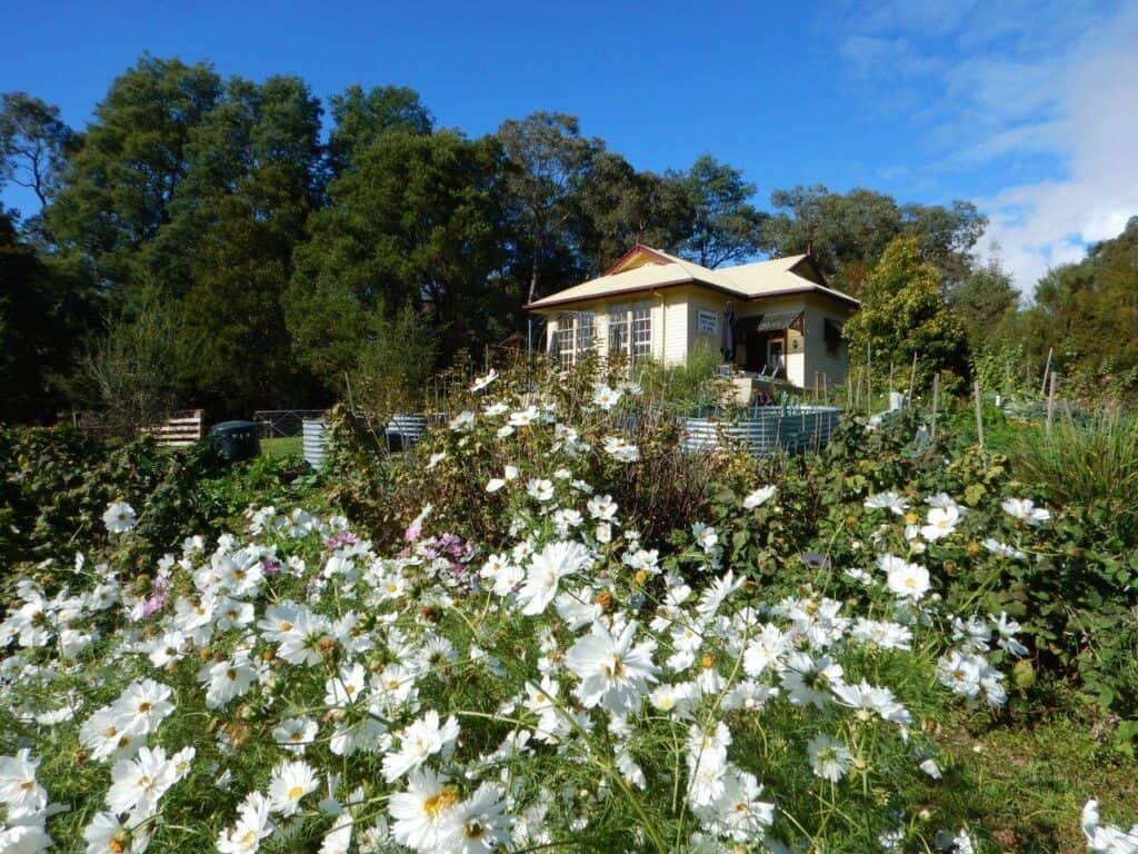 Peppermint Ridge Farm