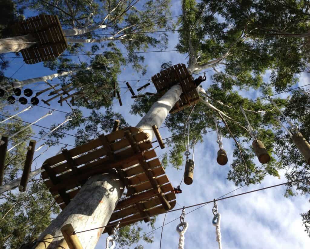 Treetops Adventure Nowra