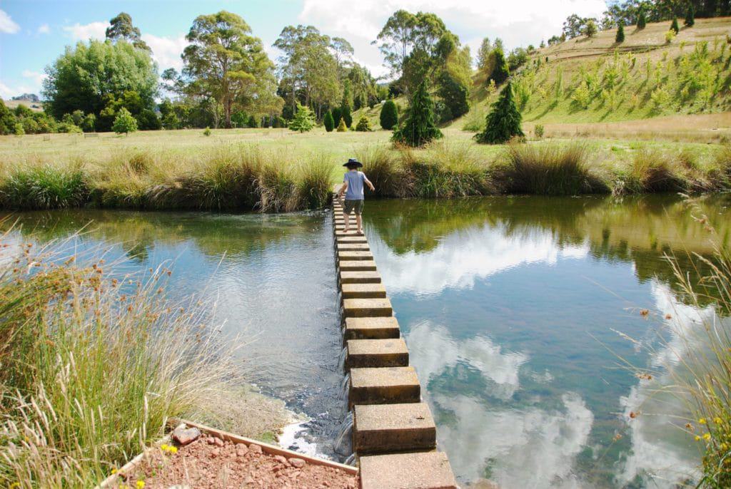 Tasmanian Arboretum