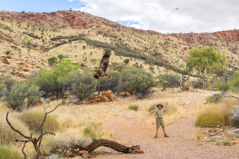 Alice Springs Desert Park