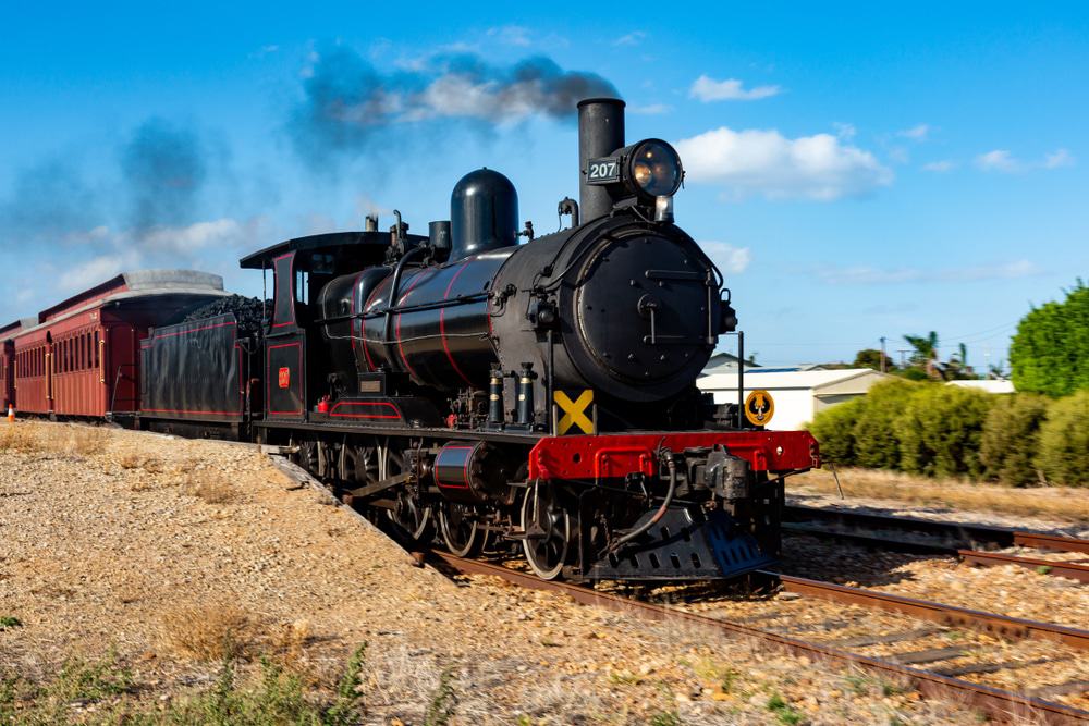 Cockle Train