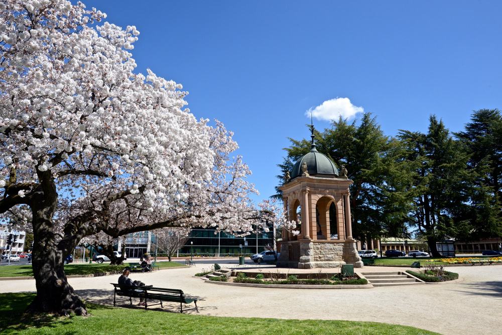 Machattie Park