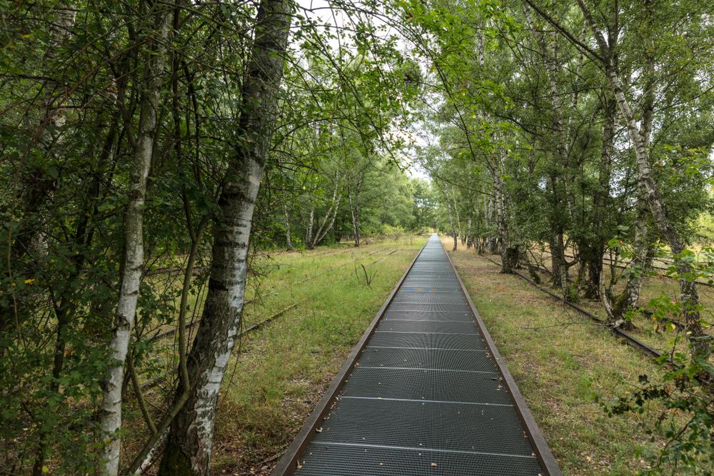 Natur-Park Südgelände
