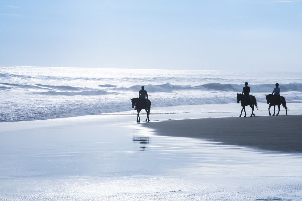 Horse Riding Tour