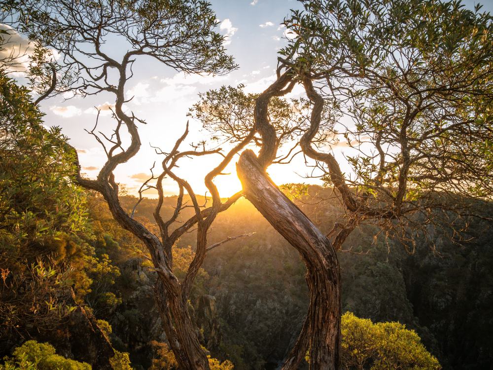 Bungonia National Park