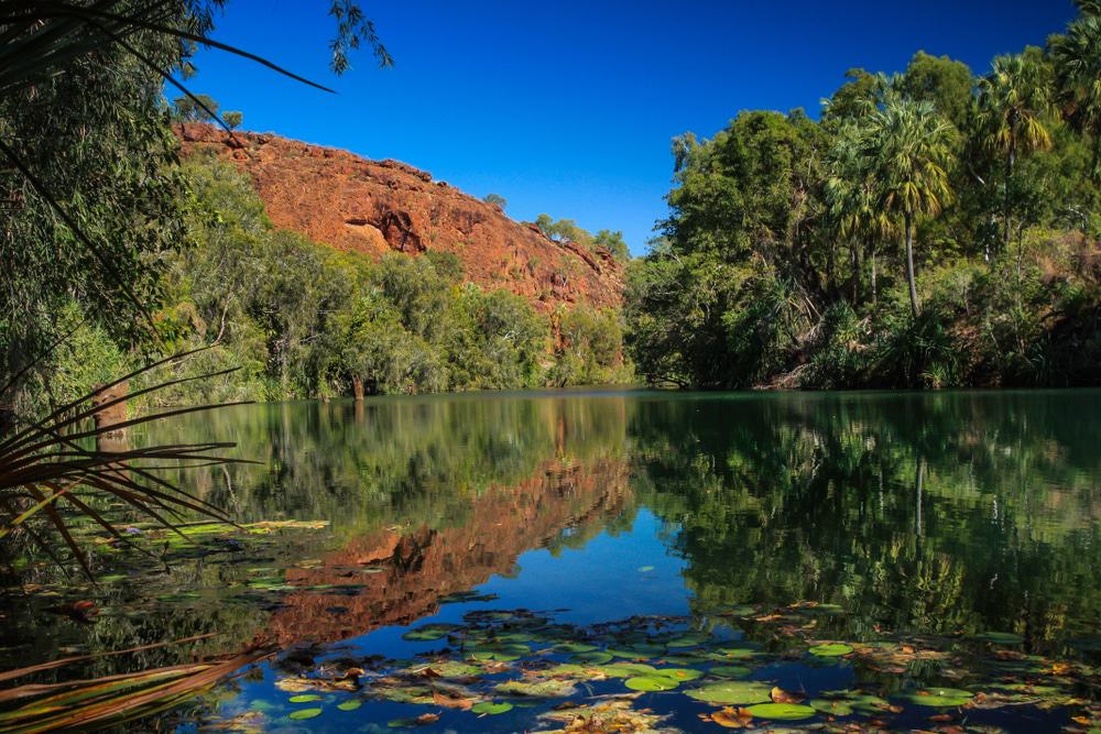 Lawn Hill Gorge