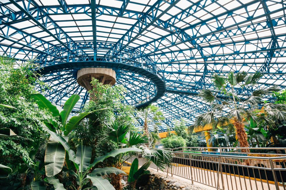 Botanical Garden At Seoul Grand Park