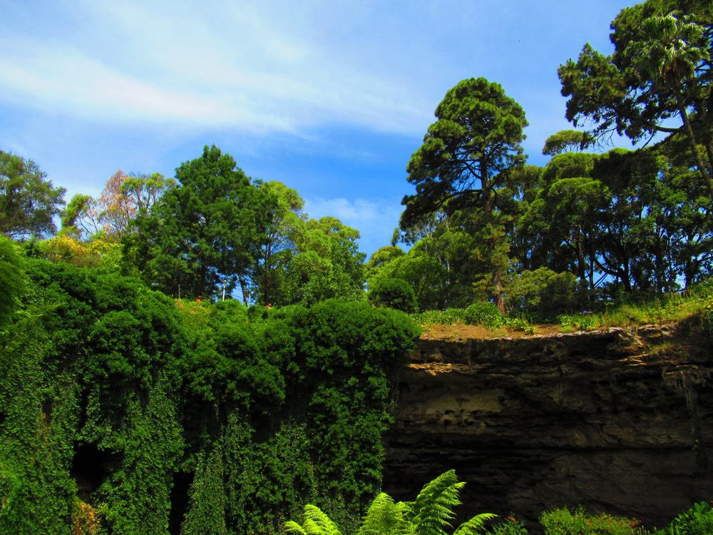 Cave Garden, Mount Gambier