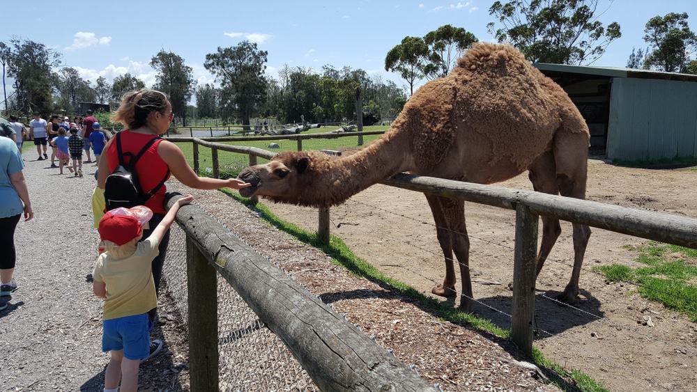 Oakvale Wildlife Park