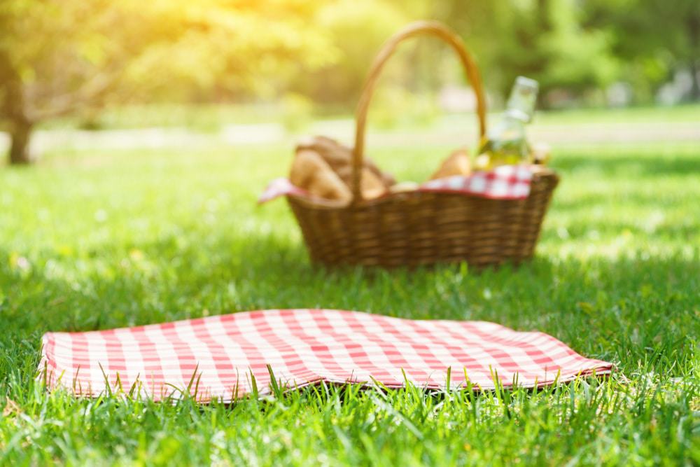 Picnic In The Park