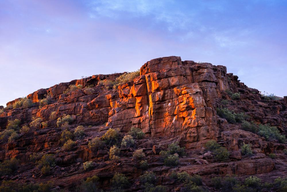 Wild Dog Hill