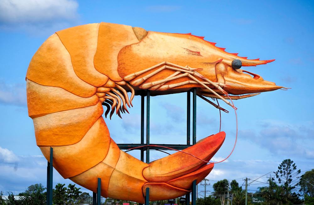 Big Prawn