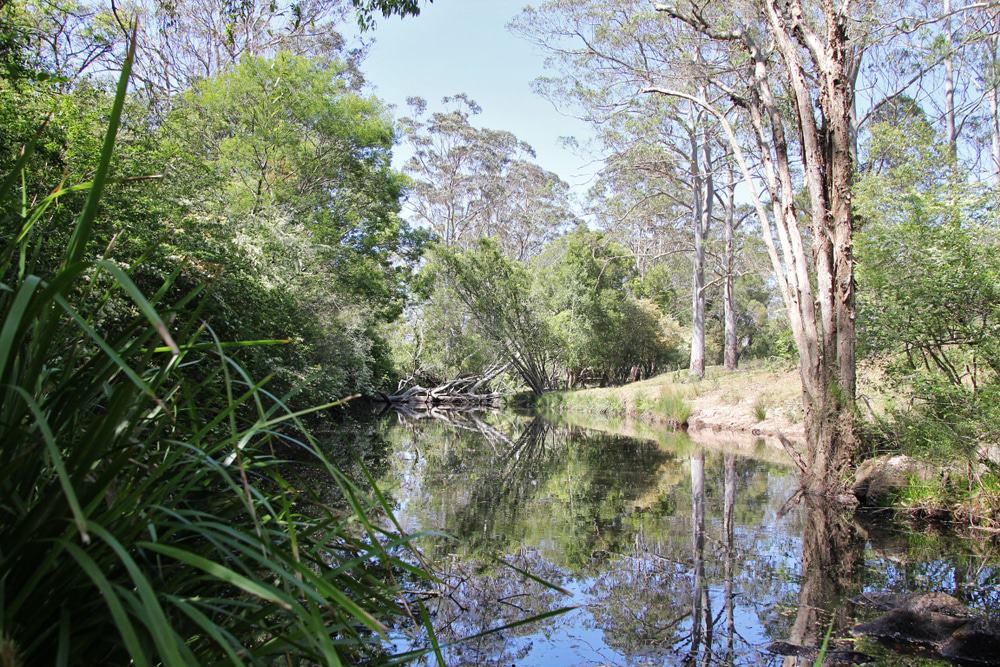 Dora Creek