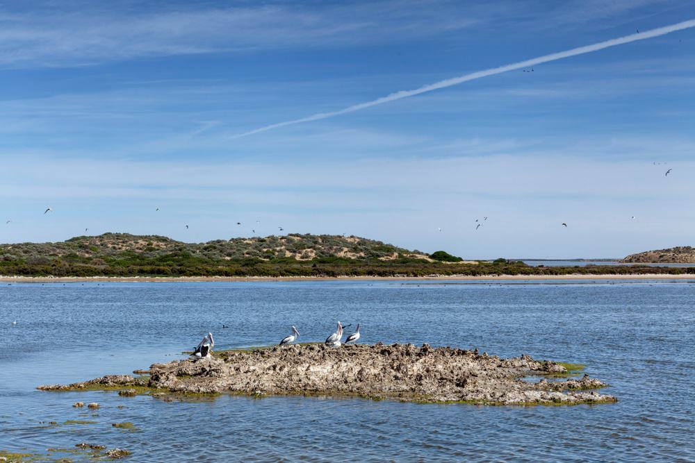 Coorong National Park