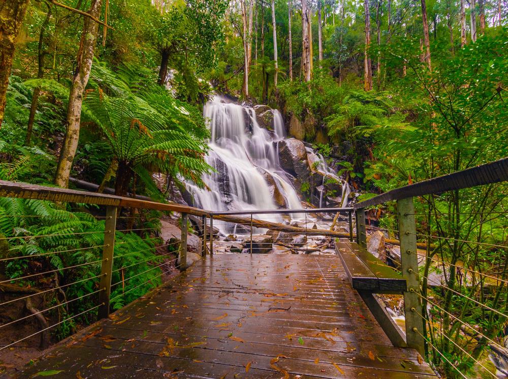 Toorongo Falls