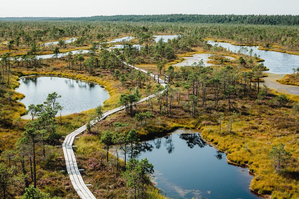 Kemeri National Park