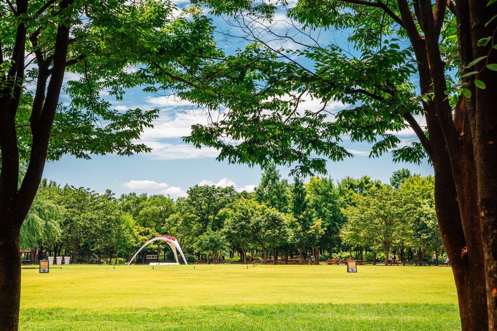 Seoul Forest