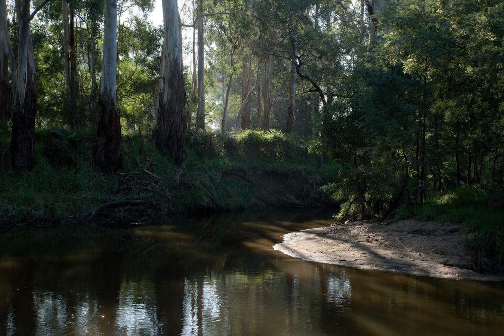 Tarago River, Robin Hood Reserve
