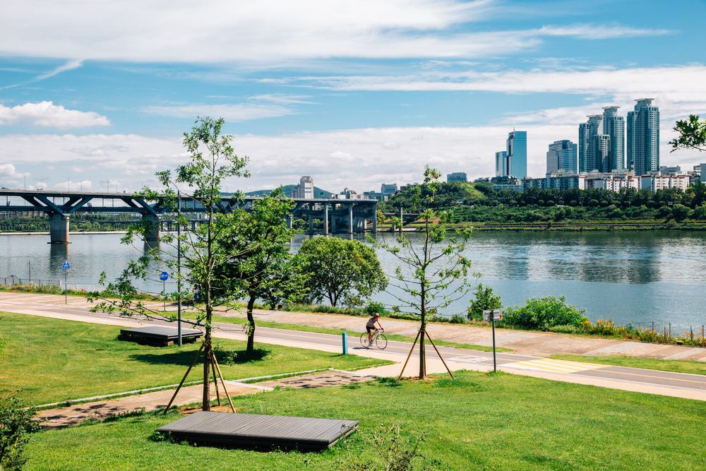 Ttukseom Hangang Park