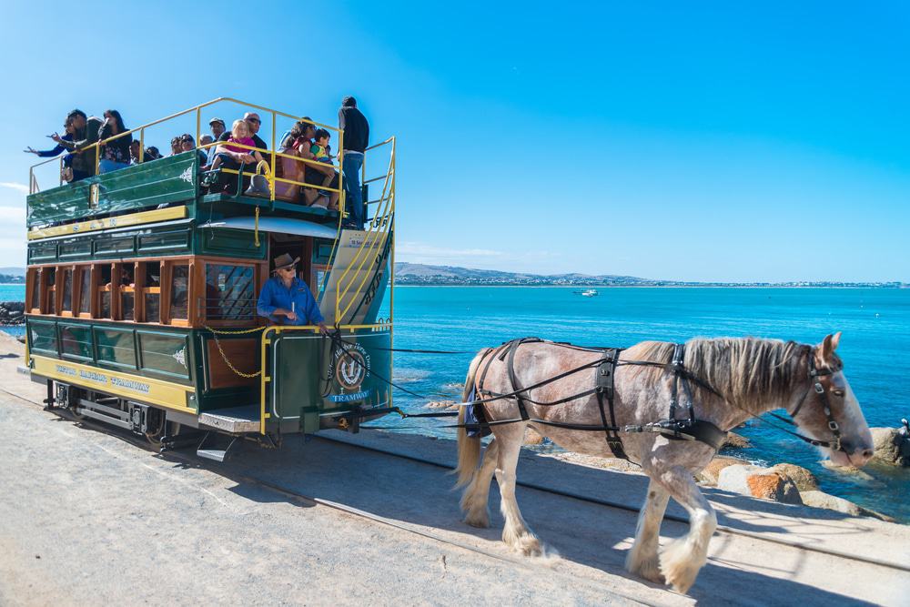Victor Harbor Horse Drawn Tram