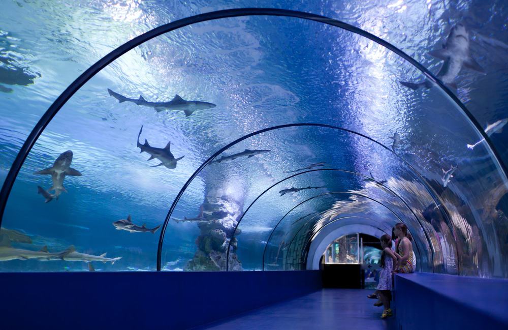 Antalya Aquarium