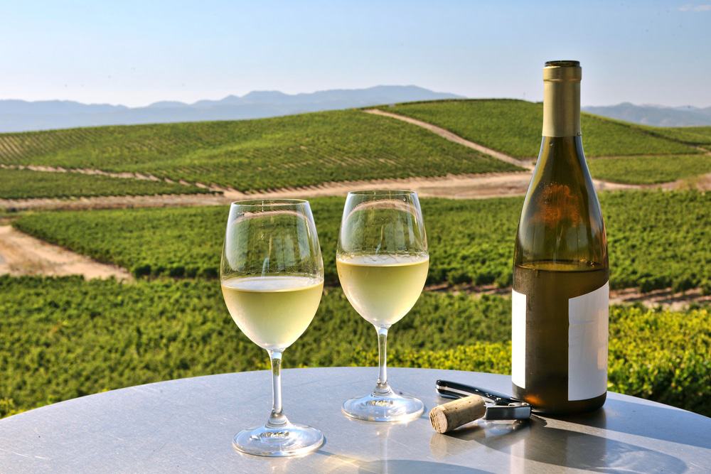 Napa Valley Vineyards