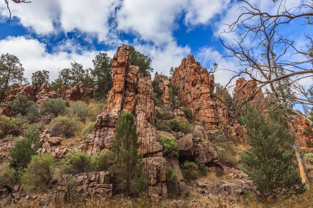 Warren Gorge