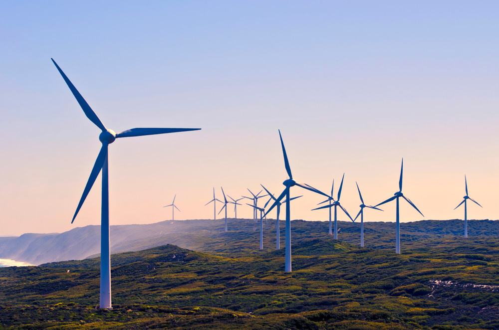 Albany Wind Farm