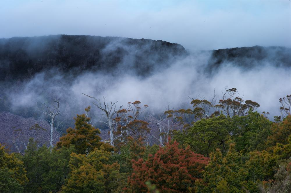 Great Western Tiers