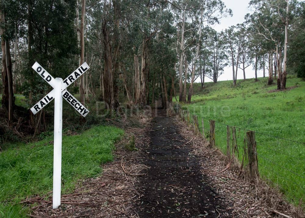 Old Beechy Rail Trail