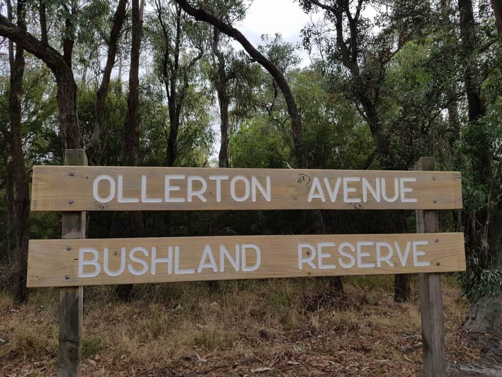 Ollerton Avenue Bushland Reserve