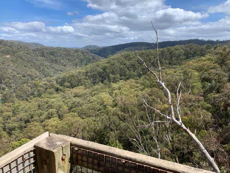 Peterson's Lookout