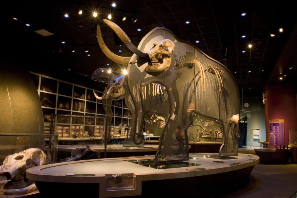 Western Science Center