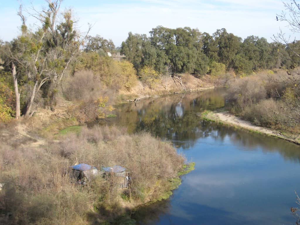 Tuolumne River Near Modesto