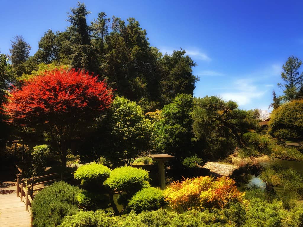 San Mateo Japanese Garden