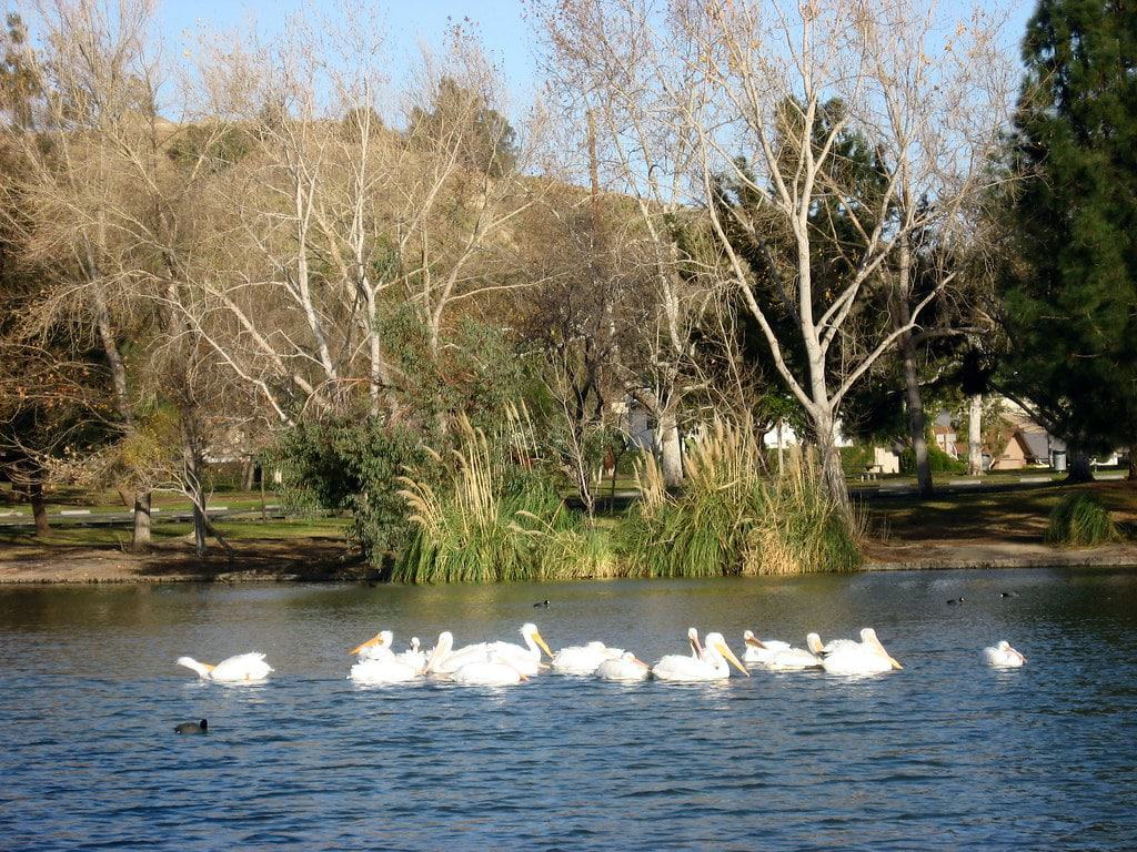 Yorba Regional Park