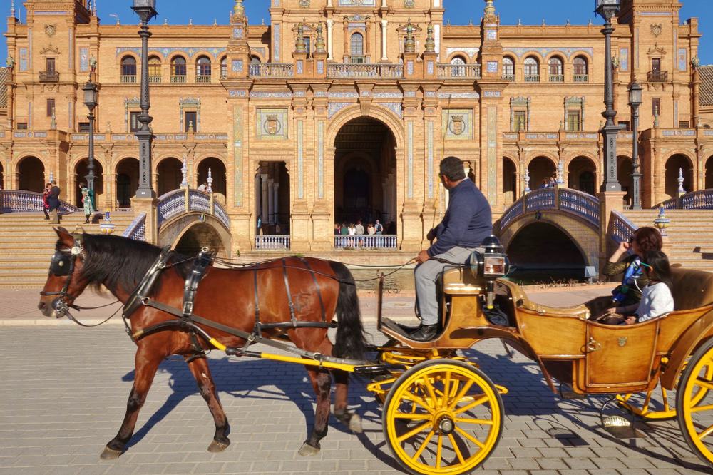 Horse-Drawn Carriage Ride