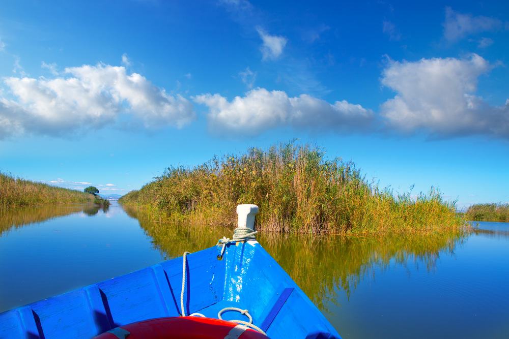 Albufera National Park