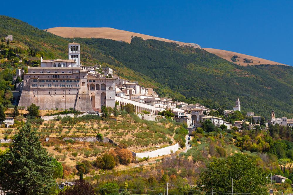 Vineyards around the Basilica of St. Francis