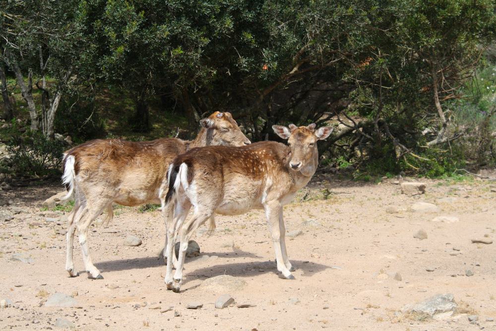 Cannoneris Nature Reserve