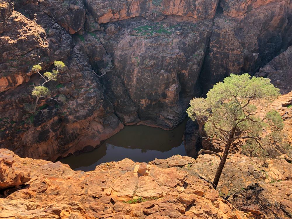 Mutawintji National Park