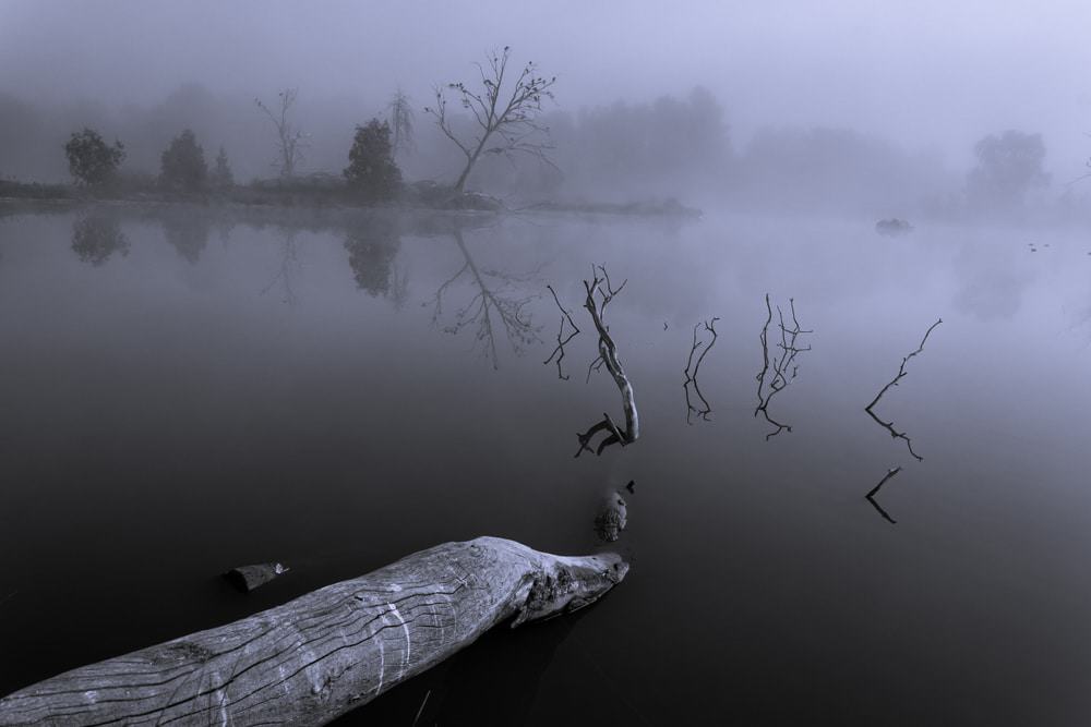 Putta Bucca Wetlands