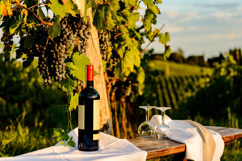 Chianti Wine