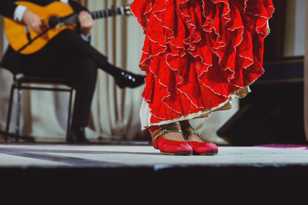 Flamenco Dancer
