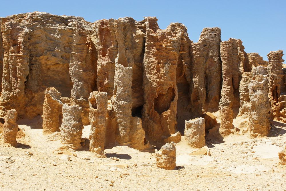 Cape Bridgewater Petrified Forest